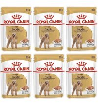 Royal Canin Poodle Caniche Tüy Sağlığı Destekleyici Kuzu Etli Parça Etli Yetişkin Köpek Maması 6 x 85 gr 6'lı