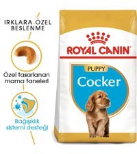 Royal Canin Cocker Tavuklu Yavru Köpek Maması 3 kg