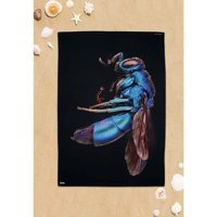 Dogo Mare Cuckoo Wasp Plaj Havlusu Çok Renkli