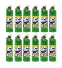 Domestos Dağ Esintisi Banyo-Ev-Mutfak İçin Konsantre Sıvı Çamaşır Suyu 12x750 ml