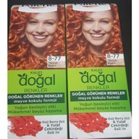 Schwarzkopf Palette Doğal Renkler 8.77 Tarçın Bakır Krem Saç Boyası 2x50 ml