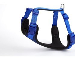 Doggie 30-35 Cm Ayarlanabilir Göğüs Tasması Gezdirme Köpek Tasması Mavi