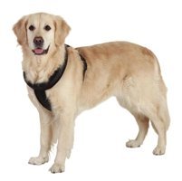 Karlie Yumuşak 52-60 Cm Ayarlanabilir Göğüs Tasması Gezdirme Köpek Tasması Siyah
