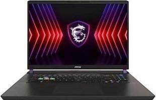 MSI Nb Vector 17 HX A14VHG-838XTR Harici GeForce RTX 4080 Intel Core i9 14900HX 32 GB Ram 2 TB SSD 17 inç QHD+ Freedos Gaming Laptop