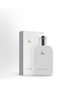 Muscent C043 EDP Amber-Baharatlı-Odunsu Kadın Parfüm 50 ml
