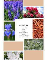 Ixora K072 Feel EDP Çiçeksi-Meyveli-Odunsu Kadın Parfüm 2x50 ml