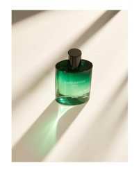 Koton Land Breeze EDT Amber-Fresh-Sandal Ağacı Kadın Parfüm 100 ml