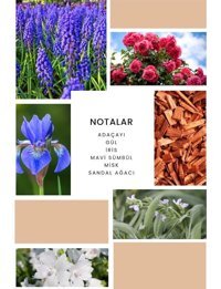 Ixora K072 Feel EDP Çiçeksi-Meyveli-Odunsu Kadın Parfüm 2x100 ml