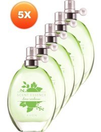 Avon Lime Verbena EDT Amber-Bergamot-Oryantal Kadın Parfüm 5x30 ml