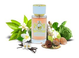 Lion Francesco Nur Sultan EDP Bergamot-Fresh-Vetiver Kadın Parfüm 50 ml