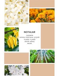 Ixora K080 Apex EDP Deri-Fresh-Narenciye Kadın Parfüm 2x100 ml