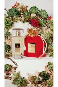 Lyon W146 EDP Amber-Çiçeksi-Fresh Kadın Parfüm 100 ml