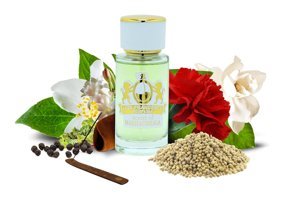 Lion Francesco Makhachkala EDP Amber-Odunsu-Sandal Ağacı Kadın Parfüm 50 ml