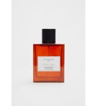 Stradivarius Steel EDT Amber-Baharatlı-Odunsu Erkek Parfüm 100 ml
