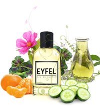 Eyfel Parfüm M50 EDP Amber-Fresh-Odunsu Erkek Parfüm 100 ml