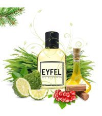 Eyfel Parfüm M16 EDP Amber-Meyveli-Odunsu Erkek Parfüm 50 ml