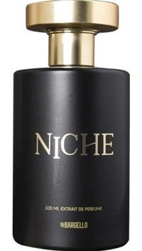 Bargello Niche Rhythm EDP Amber-Fresh-Meyveli Erkek Parfüm 100 ml