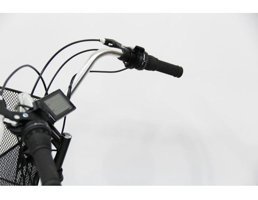 Dorello Cargo 2960 1000 W 25 Km 26 Jant 21 Vites Elektrikli Bisiklet Siyah