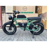 Ape Ryder Bonobo 250 W 100 Km 20 Jant 7 Vites Elektrikli Bisiklet Yeşil