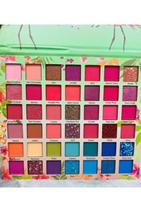 Aster Beauty Flamingo Toz Işıltılı - Mat Palet Göz Farı