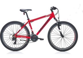 Bianchi Aspid 480H 29 Jant 21 Vites Dağ Bisikleti Beyaz-Siyah-Yeşil