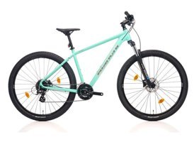 Bianchi Magma 430h 29 Jant Dağ Bisikleti Gri