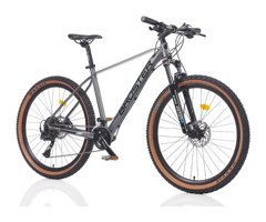 Broster Proxon 27.5 Jant 20 Vites Dağ Bisikleti Gri