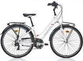 Bianchi TRAVEL 505 440H 28 Jant 21 Vites Şehir / Tur Bisikleti Gri-Turkuaz