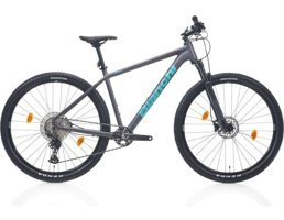 Bianchi Magma Comp 9.s Deore 29 Jant 12 Vites Dağ Bisikleti Yeşil