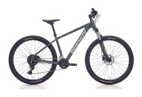 Bianchi Magma Cues 29 Jant 21 Vites Dağ Bisikleti Gri-Siyah