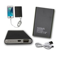 PH26 DDY-003 8000 mAh Kablolu Led Göstergeli USB Type A Powerbank Siyah