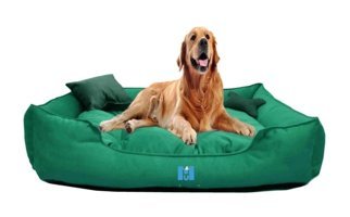 Mavi Vitrin Ortopedik Yıkanabilir Büyük Irk İç Mekan Köpek Yatağı Mavi