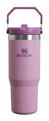 Stanley The Iceflow Flip Straw Paslanmaz Çelik 890 ml Pipetli Outdoor Bardak Termos Lila