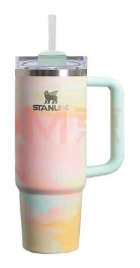 Stanley Paslanmaz Çelik 887 ml Outdoor Bardak Termos Çok Renkli