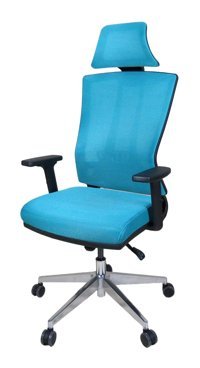 Uzay Ofis Air-X Başlıklı Kolçaklı Dönerli Turkuaz Çalışma Sandalyesi