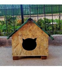Msay Kulübe Dikdörtgen Tek Katlı Su Geçirmez Dış Mekan Vernikli Osb Levha Kedi Evi Doğal Ahşap