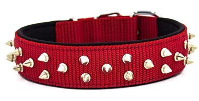 Doggie 52-60 cm Ayarlanabilir Boyun Köpek Tasması Kırmızı