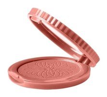 Pastel Pretty Women Cheeks No:17 Işıltılı Toz Allık