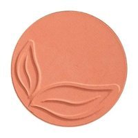 Purobio 02 Matte Coral Pink Mat Toz Allık