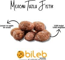 Bileb Serinhisar Kabuklu Tuzlu Kavrulmuş Yer Fıstığı 500 gr