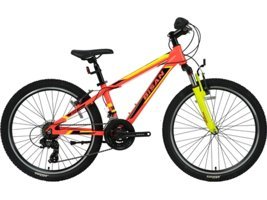 Bisan Kdx 2900 24 Jant 21 Vites Dağ Bisikleti Çok Renkli