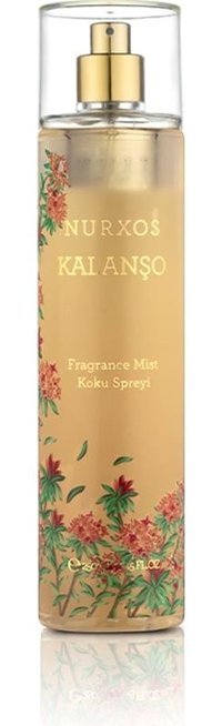 Nurxos 9058 Odunsu Erkek Vücut Spreyi 250 ml