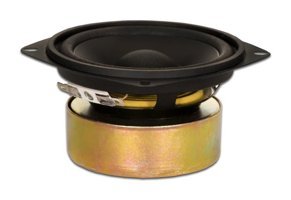 Goldwood Sound, Inc. GW-204/8S 70 W 65 mm Mini Subwoofer Siyah