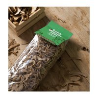 Saklı Orman Makarna 300 gr