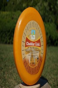 Rani Çiftliği Cheddar İnek Peyniri 260 gr