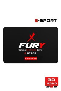 Fury E-Sport SATA 256 GB 2.5 inç SSD