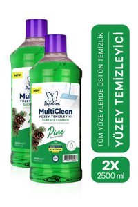 Papilion MultiClean Çam Kokulu Yüzey Temizleyici 2x2.5 lt