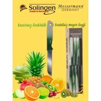 Solingen Plastik Çelik 6 Parça Sebze Bıçağı Seti
