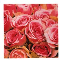 Karaca Home Pink Desenli Kağıt Peçete 20'li
