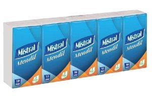 Mistral Kağıt Peçete 10x10'lu